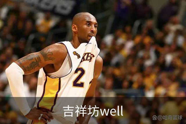 吉祥坊well公司介绍图片